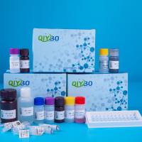 线粒体呼吸链复合体Ⅰ测定试剂盒