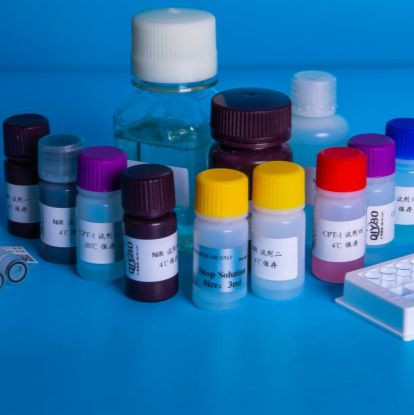 锰过氧化物酶(MnP)酶活测定试剂盒