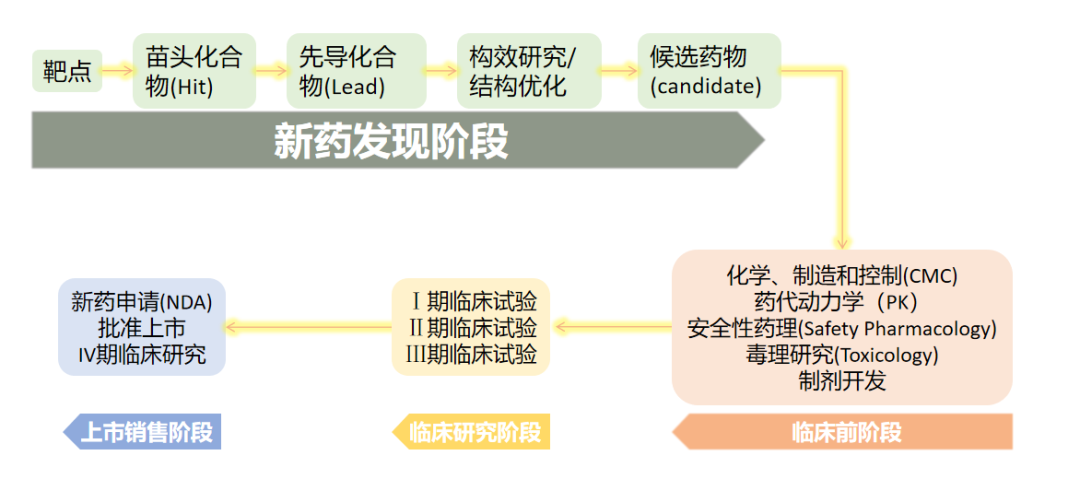 新药研发必备利器，有了它事半功倍