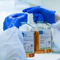 以色列BI胎牛血清(汉恒实验室推荐)