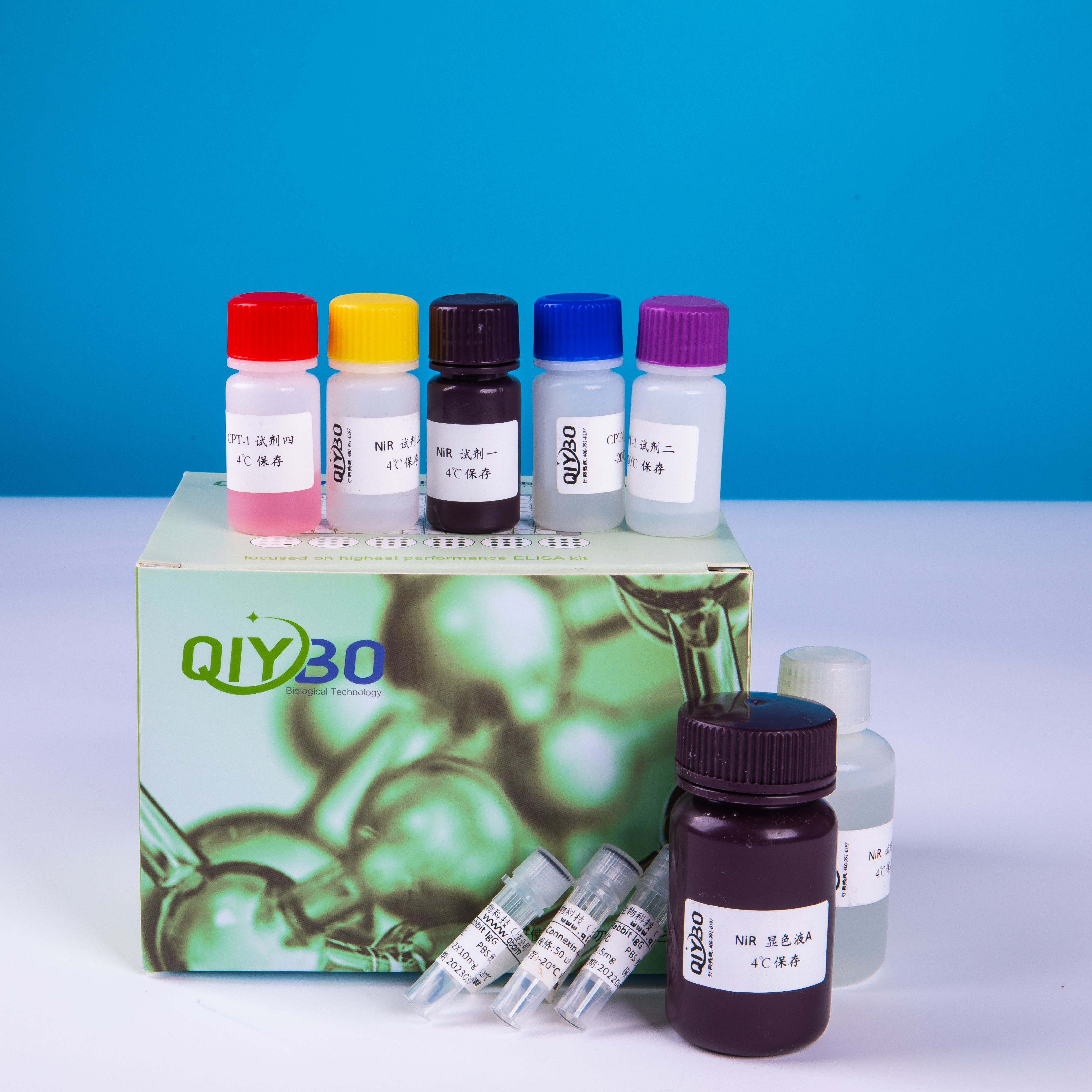 NADH-辅酶Q还原酶酶活测定试剂盒