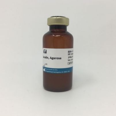 AGAROSE JACALIN (10ml)木菠萝凝集素，琼脂糖交联
