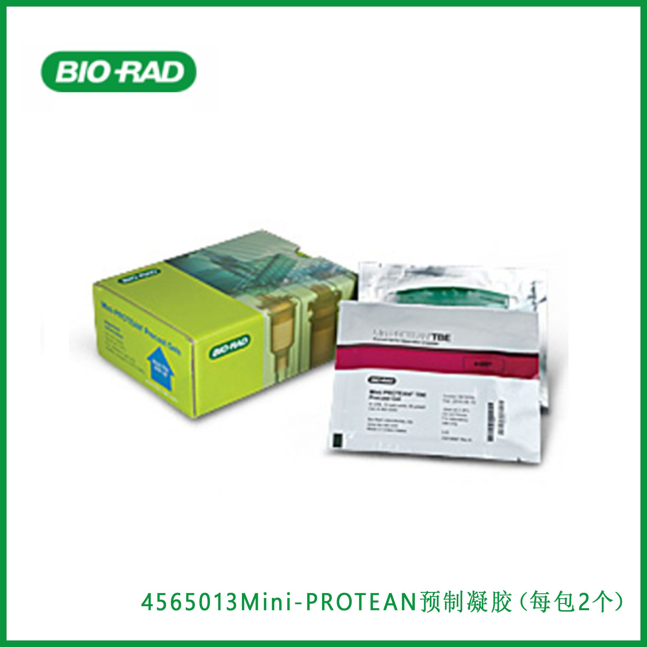 伯乐Bio-Rad4565013 Mini-PROTEAN Precast Gels (2 per package)  Mini-PROTEAN预制凝胶（每包2个），现货