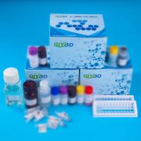 小鼠单抗Ig类 亚类鉴定用酶标二抗套装