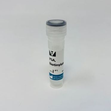 BIOTINYLATED PISUM SATIVUM AGGLUTININ (5mg)豌豆凝集素，生物素标记