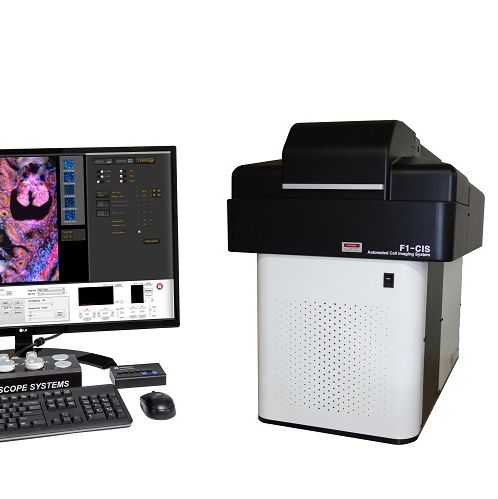 F1-CIS 数码荧光共聚焦显微镜