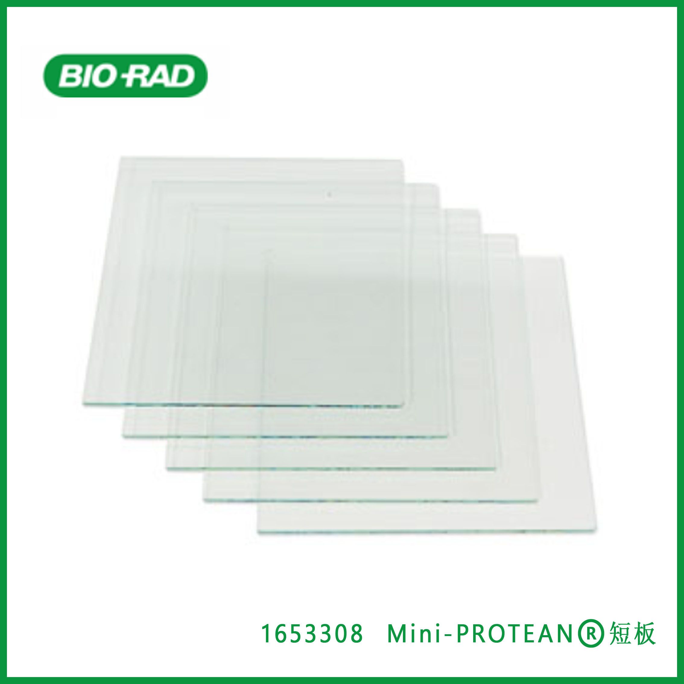 美国伯乐Bio-rad 垂直电泳玻璃板 短玻璃板