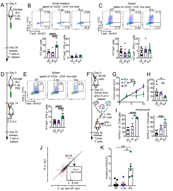 国自然热点:肿瘤免疫与肠道微生物
