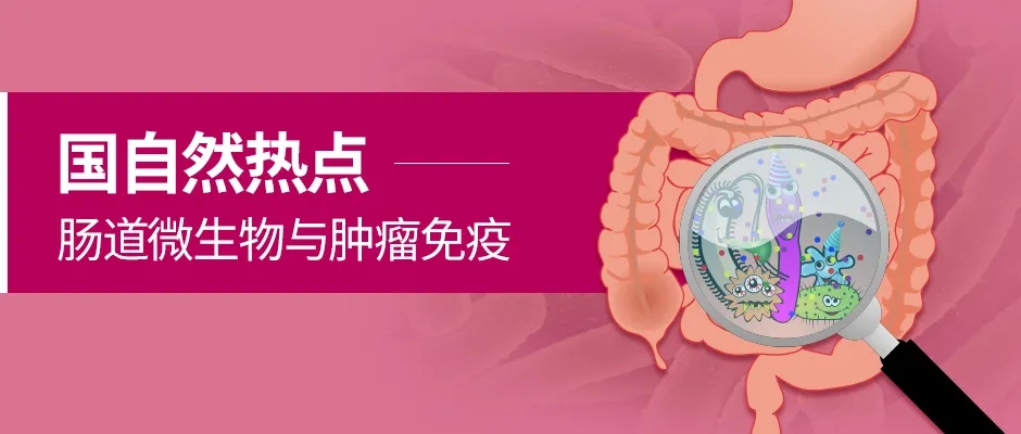 国自然热点：肿瘤免疫与肠道微生物