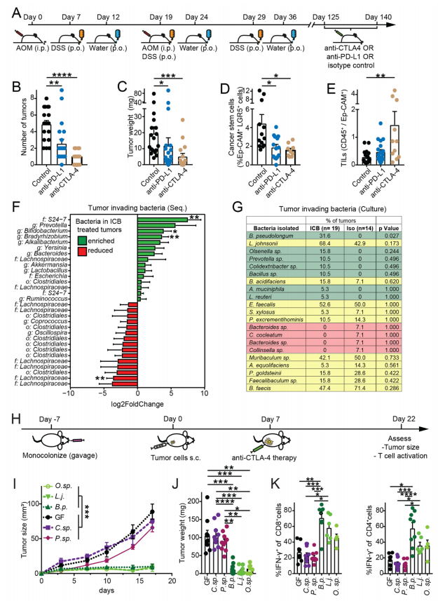 国自然热点:肿瘤免疫与肠道微生物