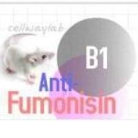 小鼠单抗Ig类/亚类鉴定用ELISA试剂盒