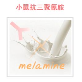 小鼠抗三聚qing胺