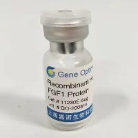 Recombinant Human FGF1 Protein