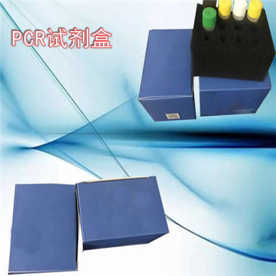 唾液弯曲杆菌LAMP试剂盒