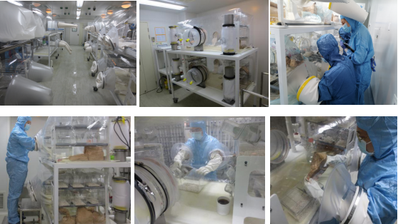 国自然热点:肿瘤免疫与肠道微生物