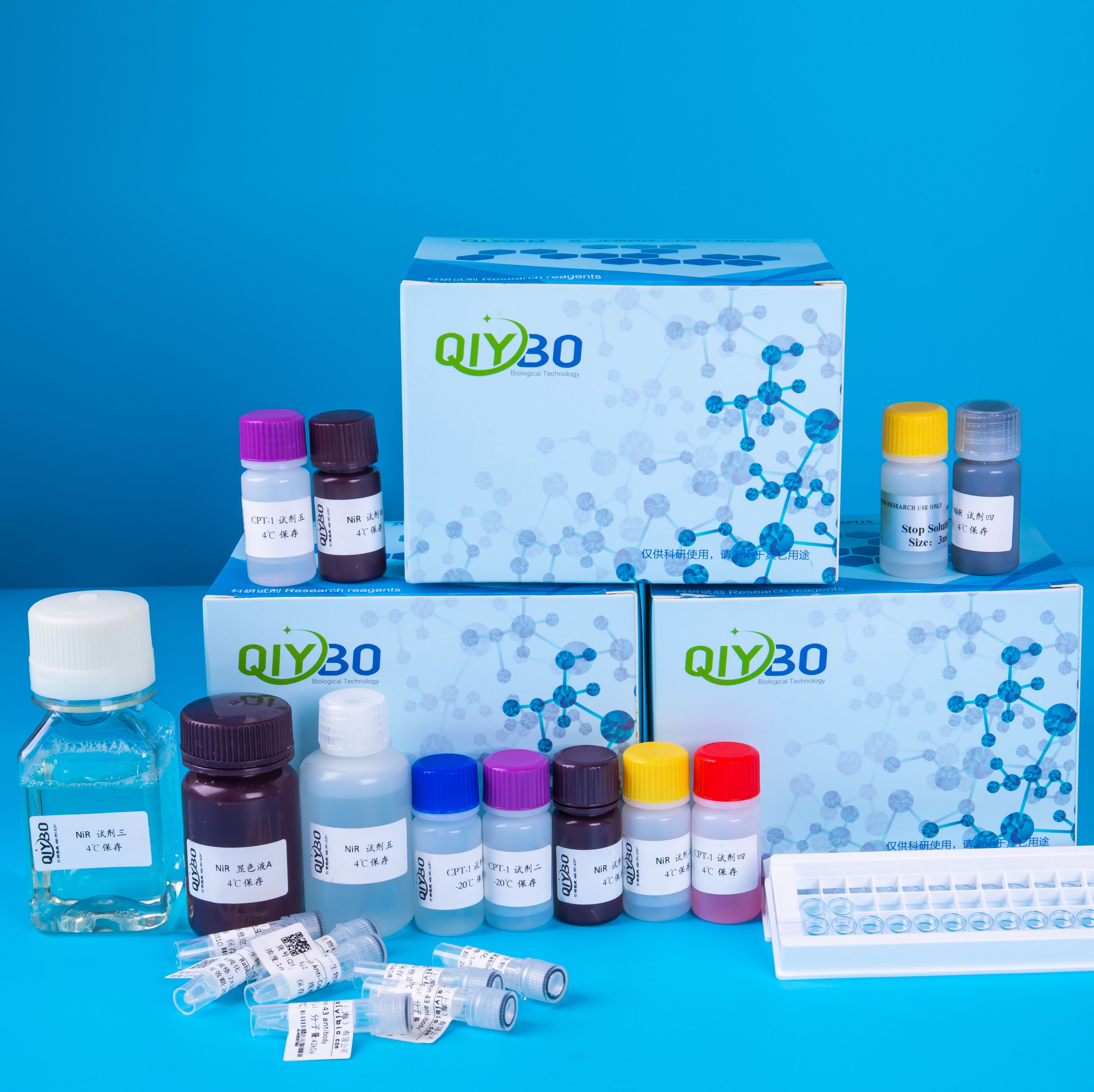 总抗氧化能力(T-AOC）测定试剂盒