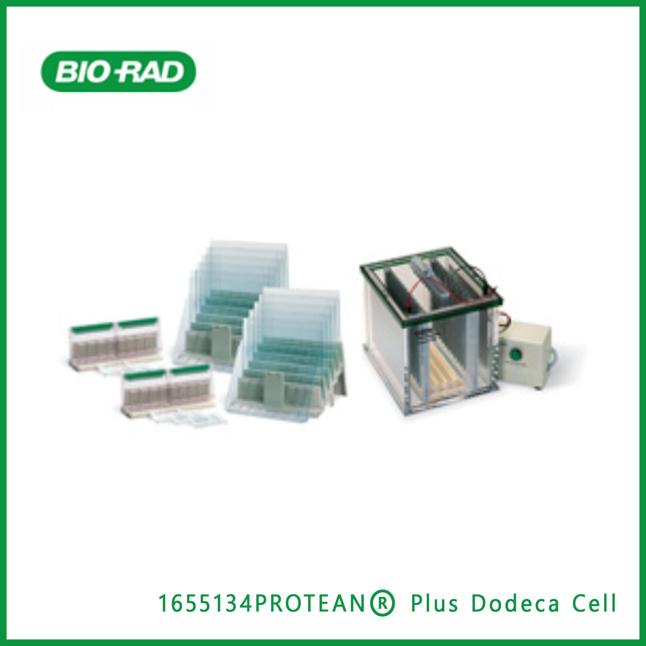 伯乐Bio-Rad1655134PROTEAN® Plus Dodeca Cell (100/120 V) and Two 6-Row AnyGel™ Stands，PROTEAN®Plus Dodeca电池（100/120 V）和两个6排AnyGel™ 站立，现货