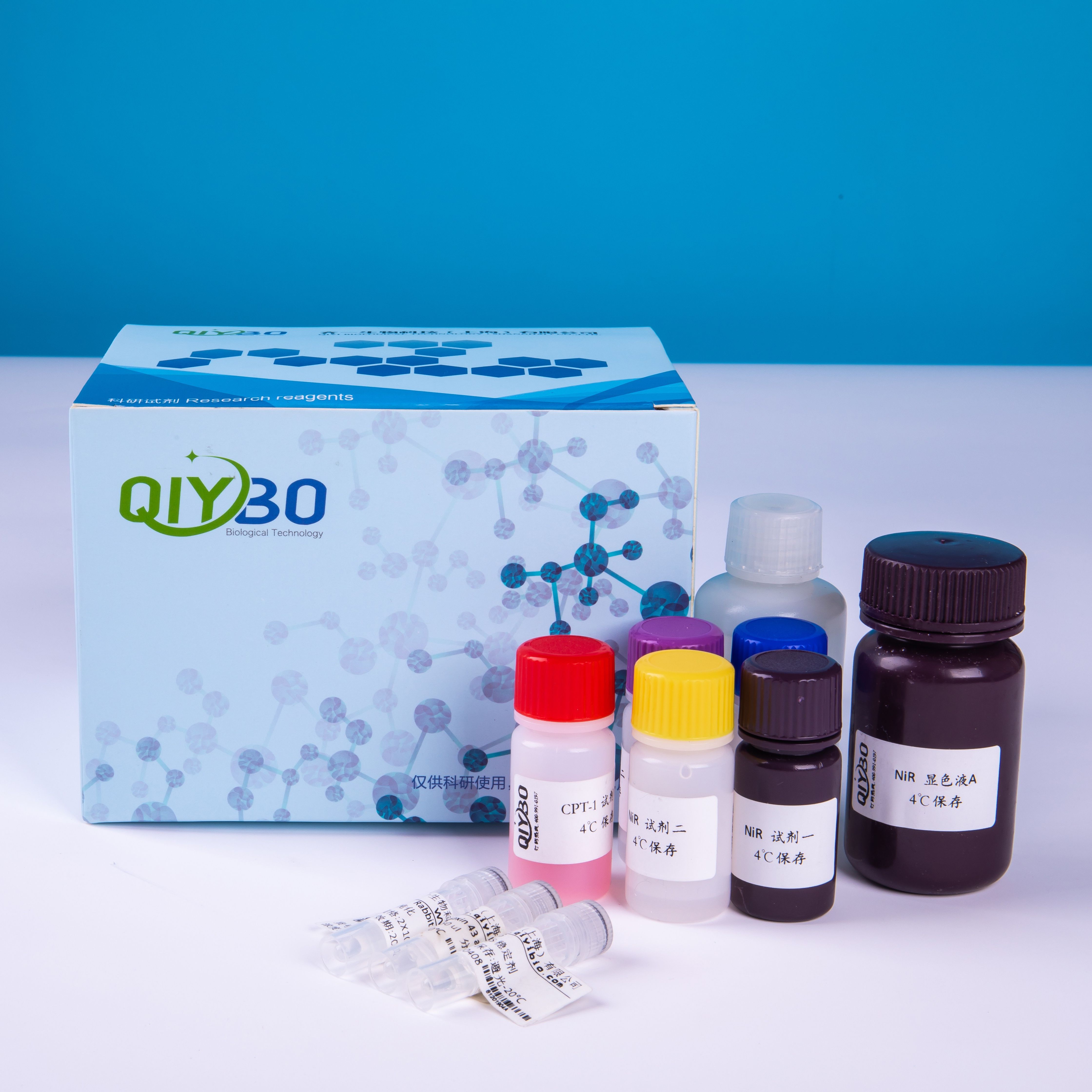 乙醇脱氢酶（ADH）酶活测定试剂盒