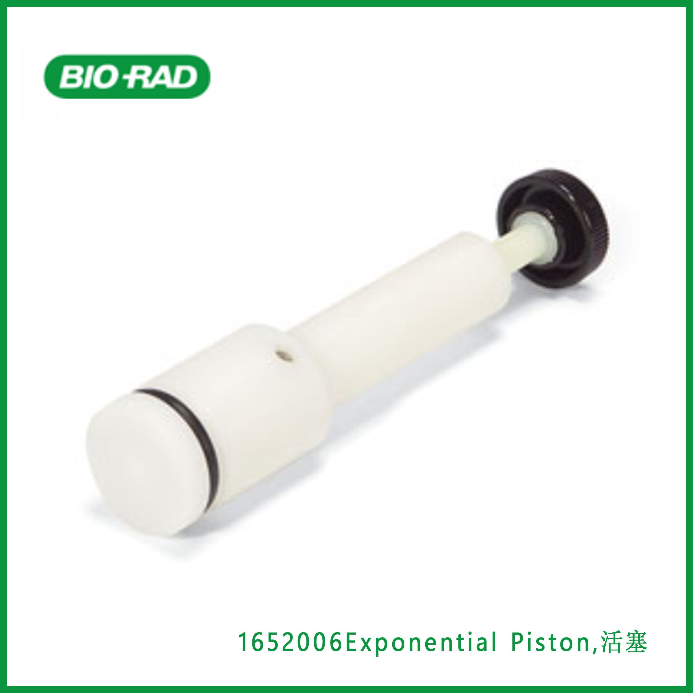 伯乐Bio-Rad1652006Exponential Piston,活塞，现货