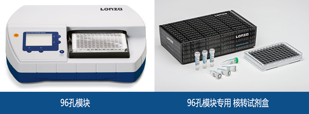 Lonza 原代内皮细胞转染试剂盒价格 详情介绍 960化工网 – 960化工网