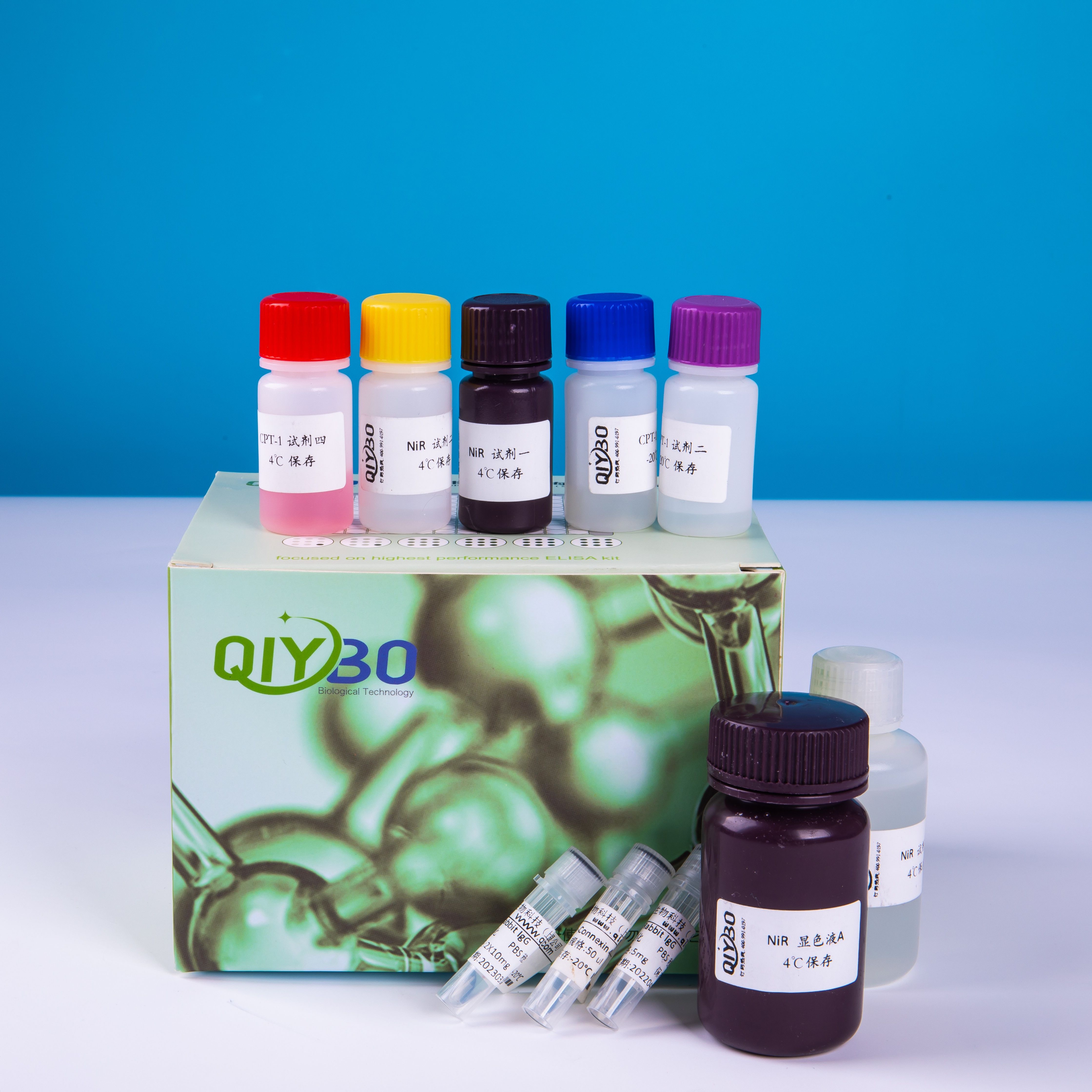 NAD激酶(NADK)酶活测定试剂盒