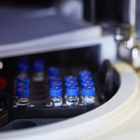 课题实验整体外包（单细胞测序、western blot、免疫共沉淀、免疫组化、免疫荧光、动物