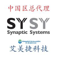 短笛-142 111/短笛-142 111/短笛-142 111