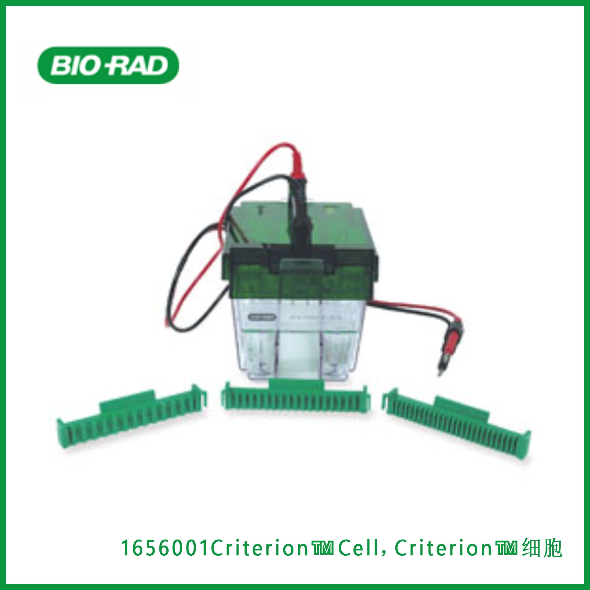 伯乐Bio-Rad1656001Criterion™ Cell，Criterion™电泳系统，现货