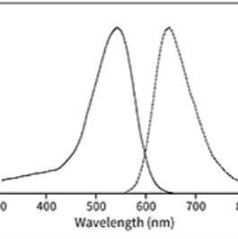 MCA-YVADAPK(Dnp)-OH (ACE2荧光底物)