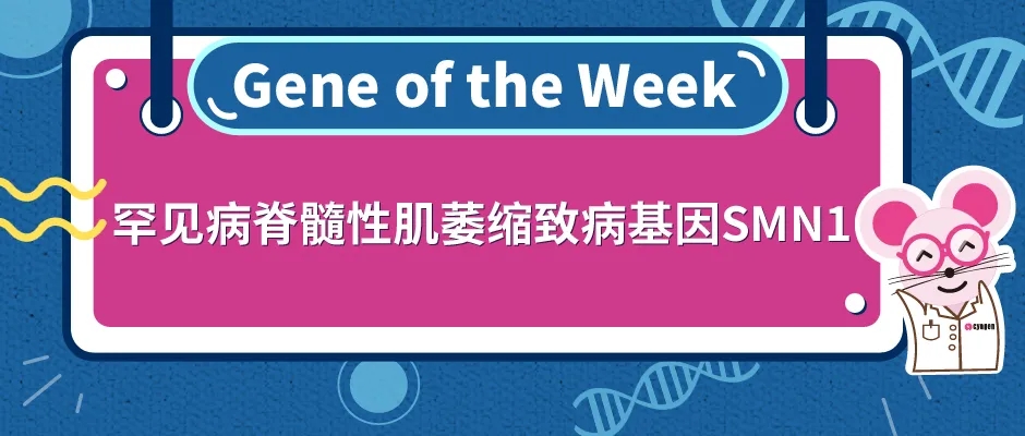 罕见病脊髓性肌萎缩致病基因SMN1