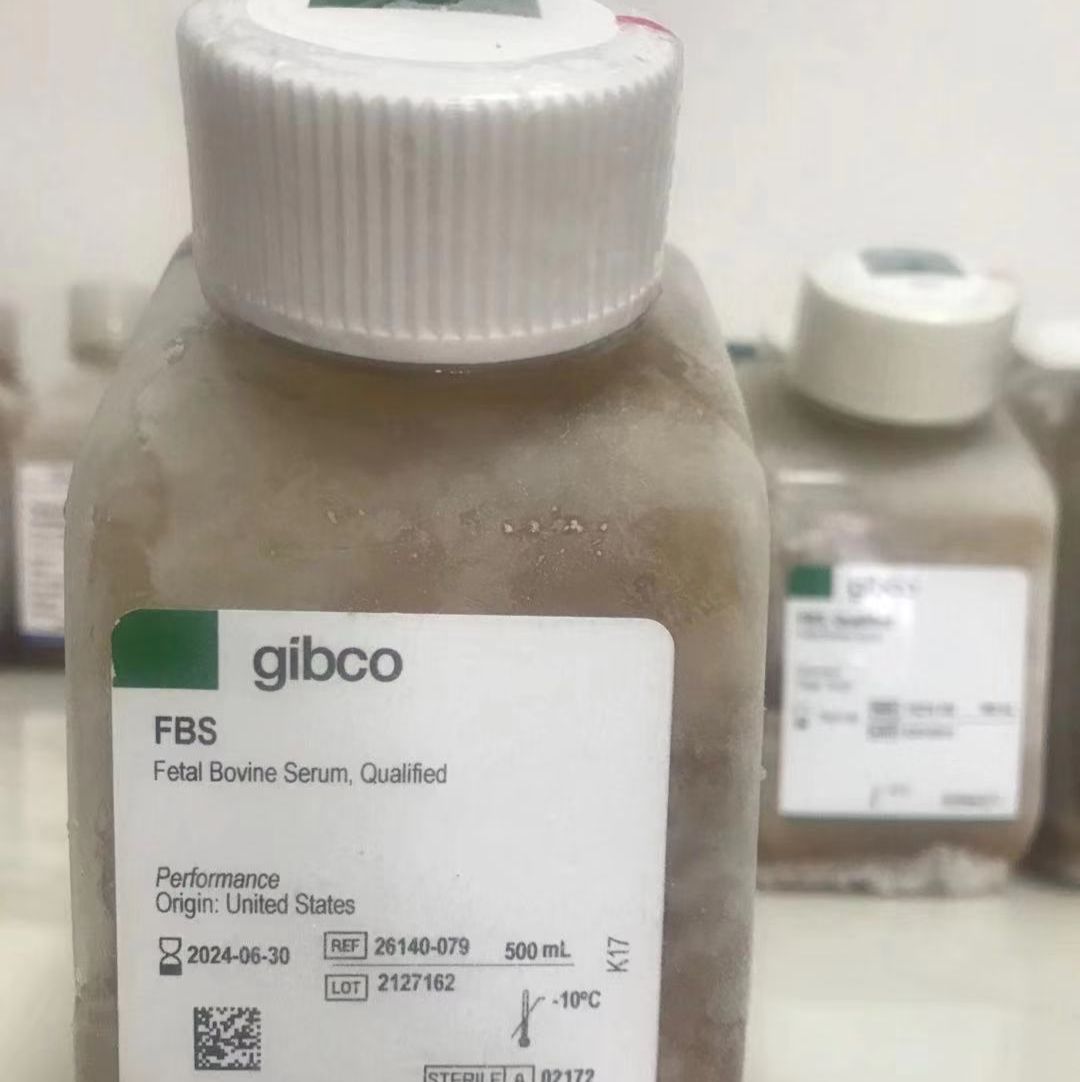 Gibco细胞培养基DMEM/F12Gibco Dulbecco's Modified Eagle Medium