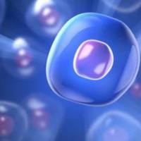 流式三标细胞实验