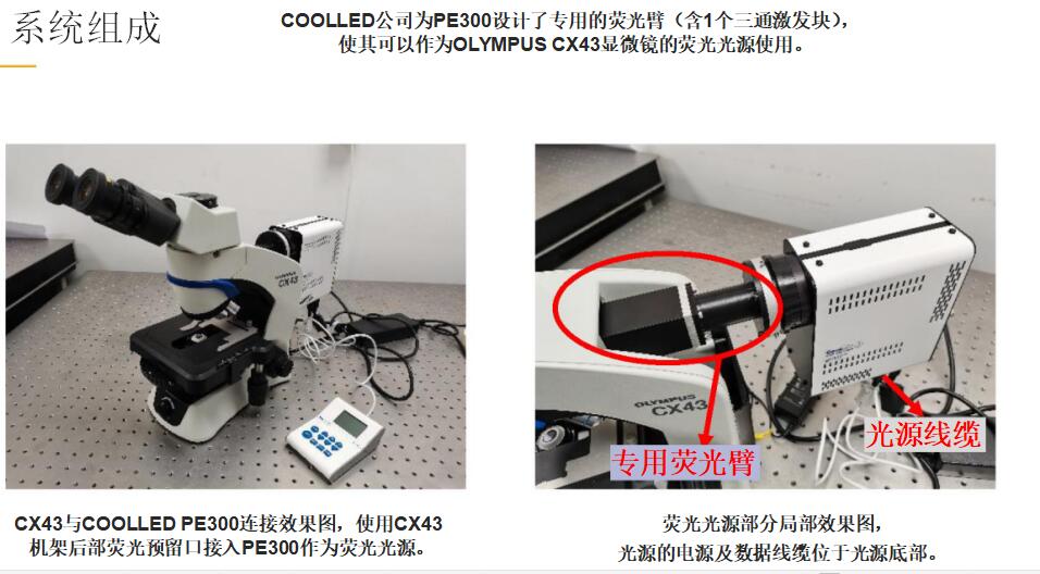 PE300 3色荧光光源与CX43联用测试简报