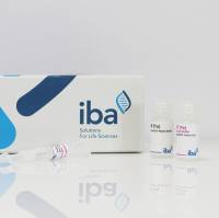 Strep-Tactin®XT 4Flow® 蛋白纯化填料/试剂盒/重力柱/上机柱