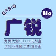 人抗生长激素抗体(GHAb)48孔Elisa试剂盒