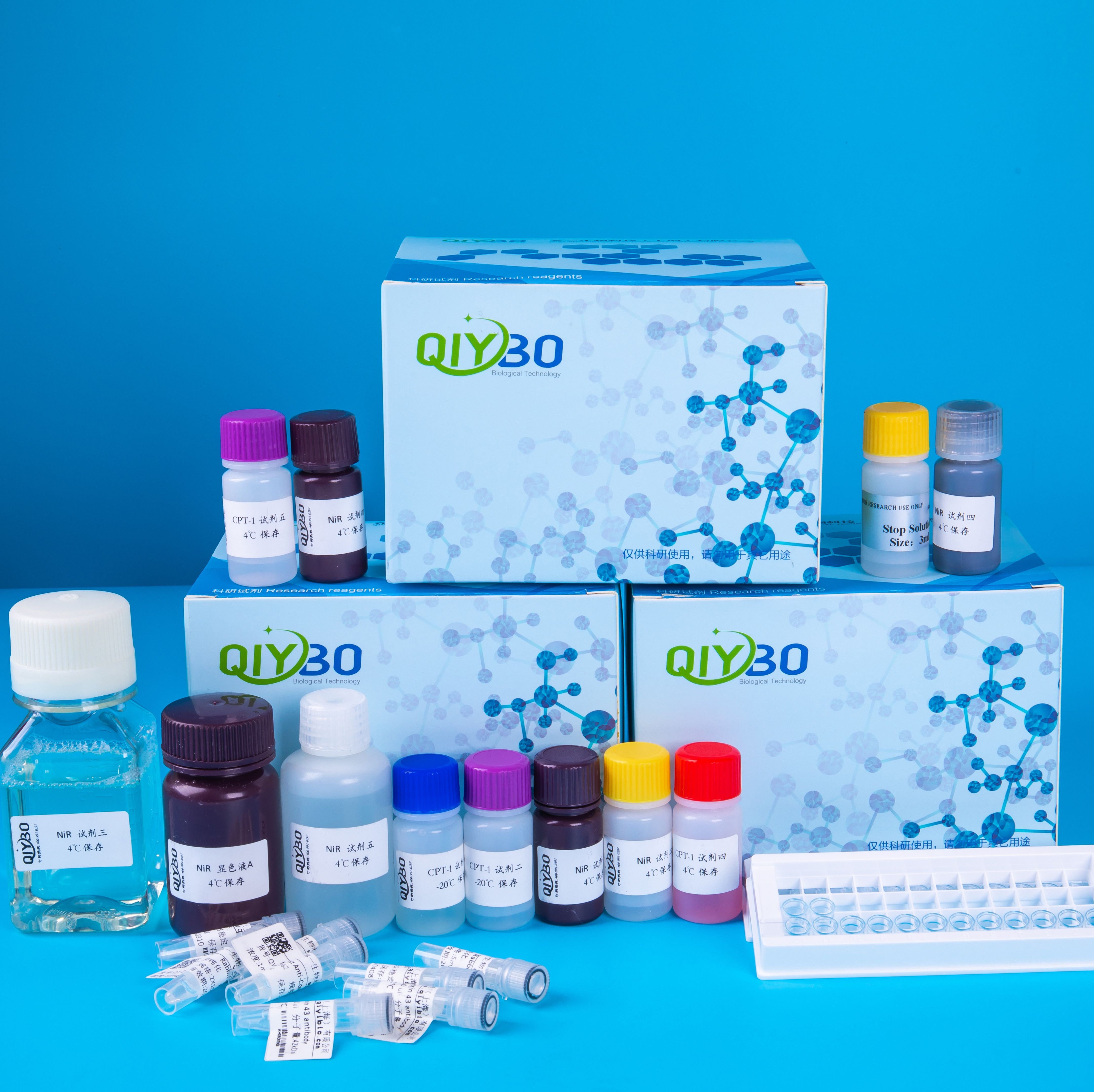 抗坏血酸氧化酶（AAO）酶活测定试剂盒
