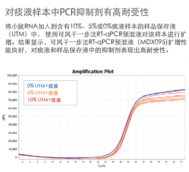 新闻图片11