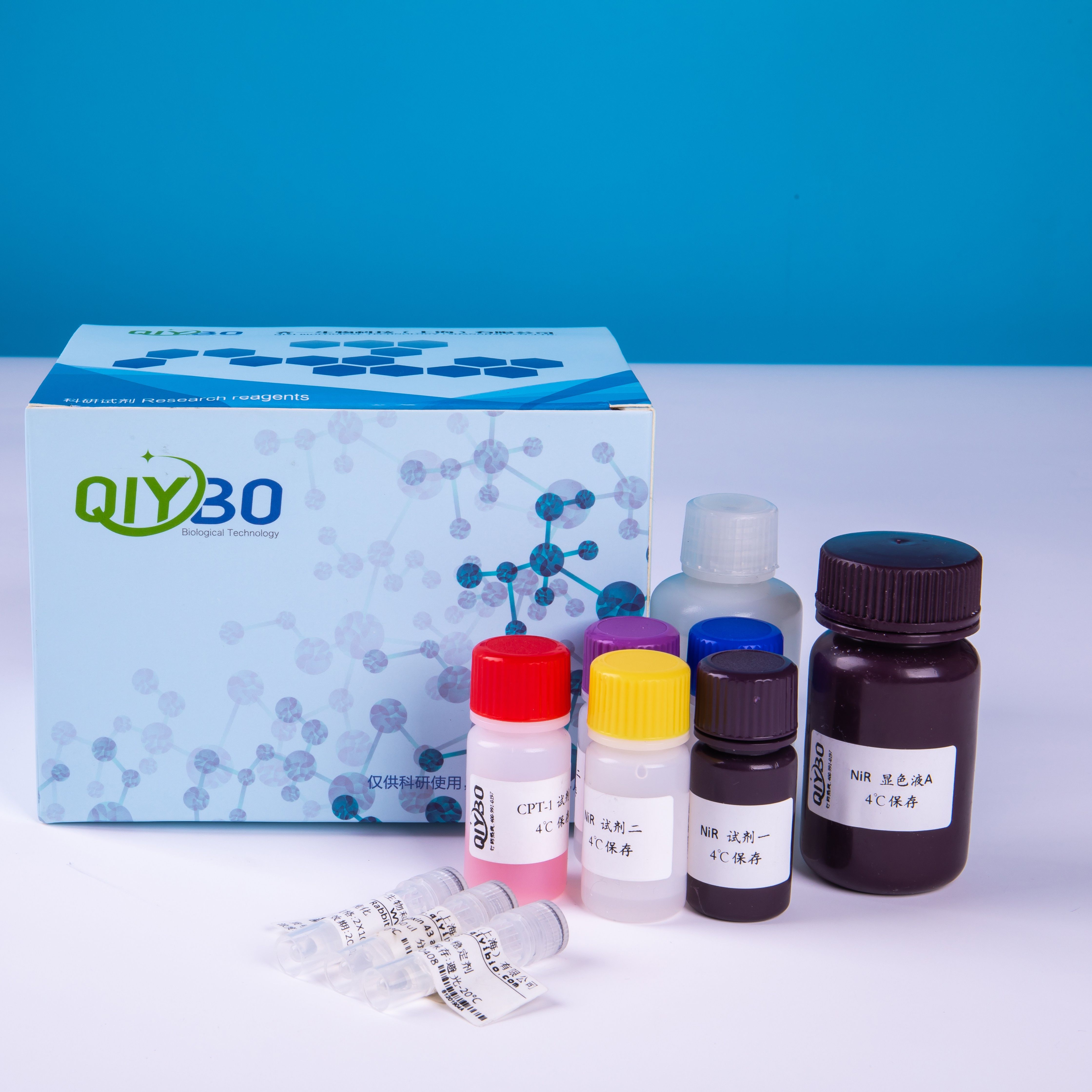 氧化型谷胱甘肽（GSSG）含量测定试剂盒