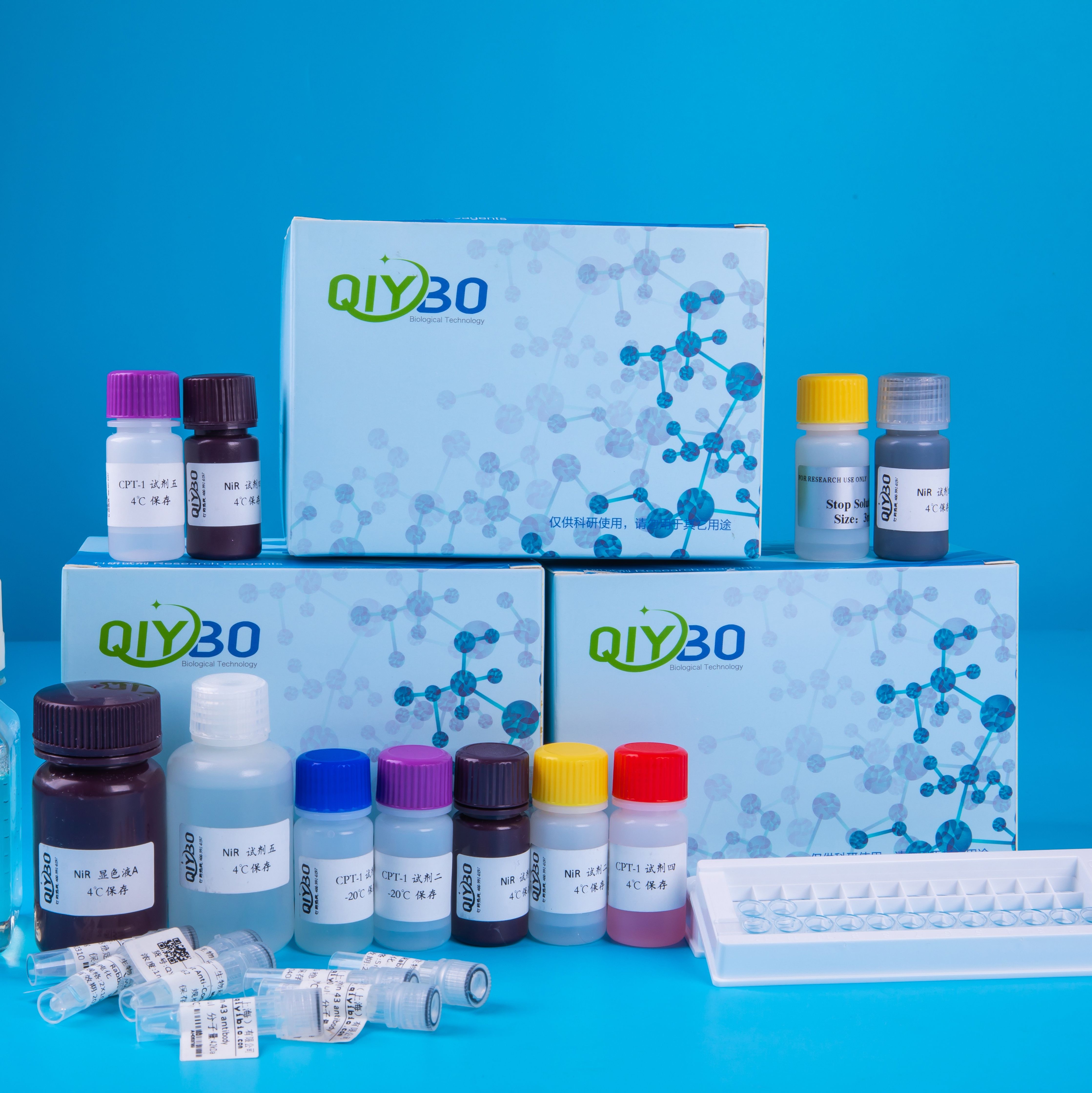 脱氢抗坏血酸（DHA）含量测定试剂盒