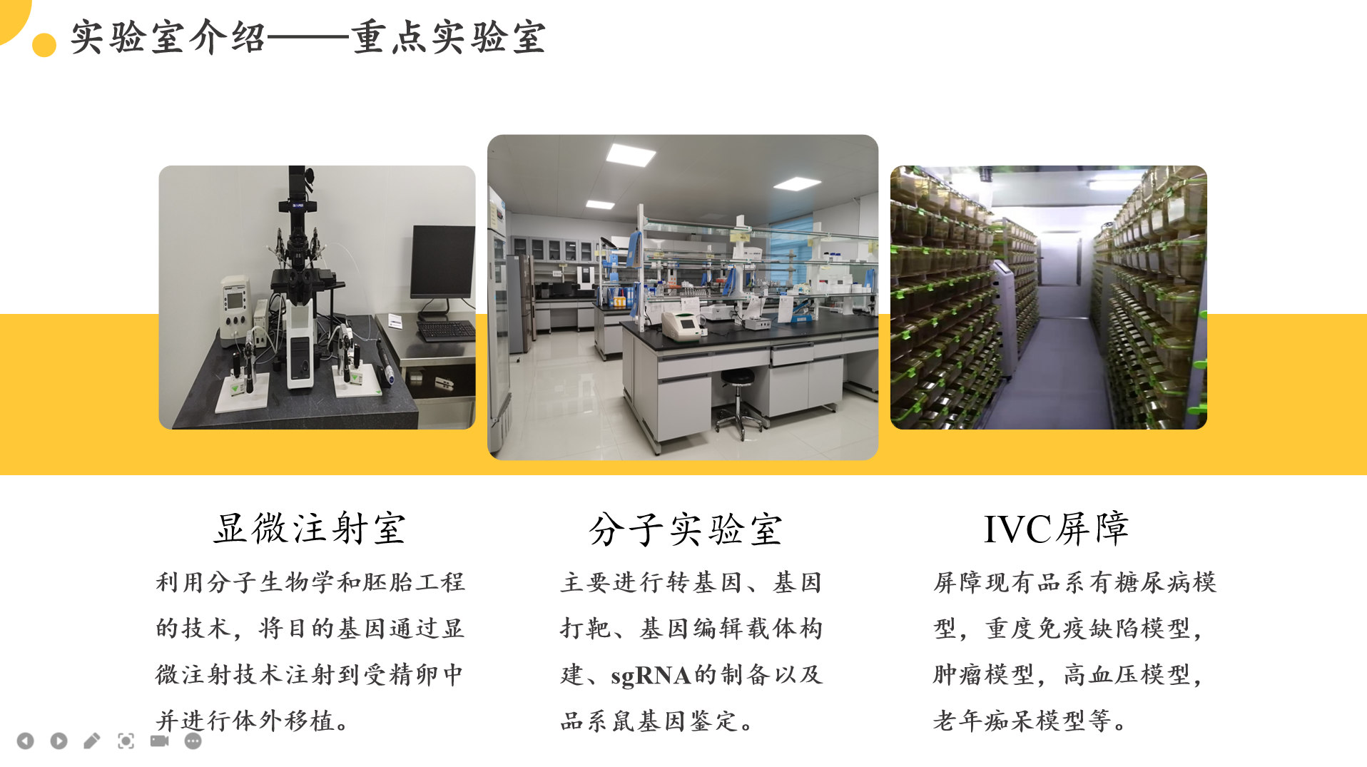 外科手术服务Surgery