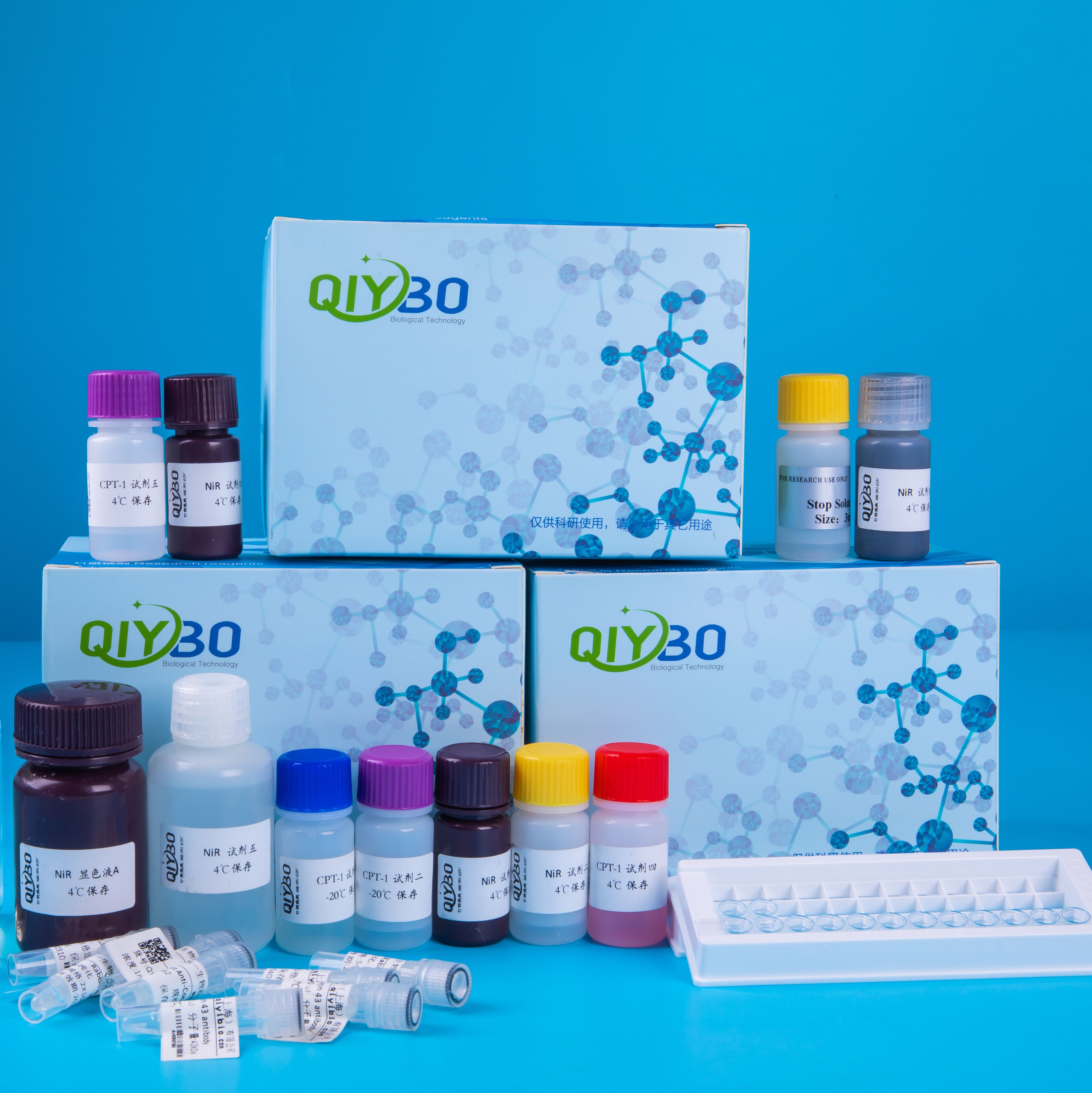 氨基酸（AA）含量测定试剂盒