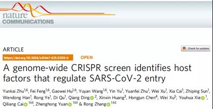 新冠病毒入侵及传染性研究取得重要进展