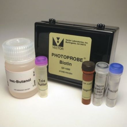 PHOTOPROBE* BIOTIN (0.5mg)生物素