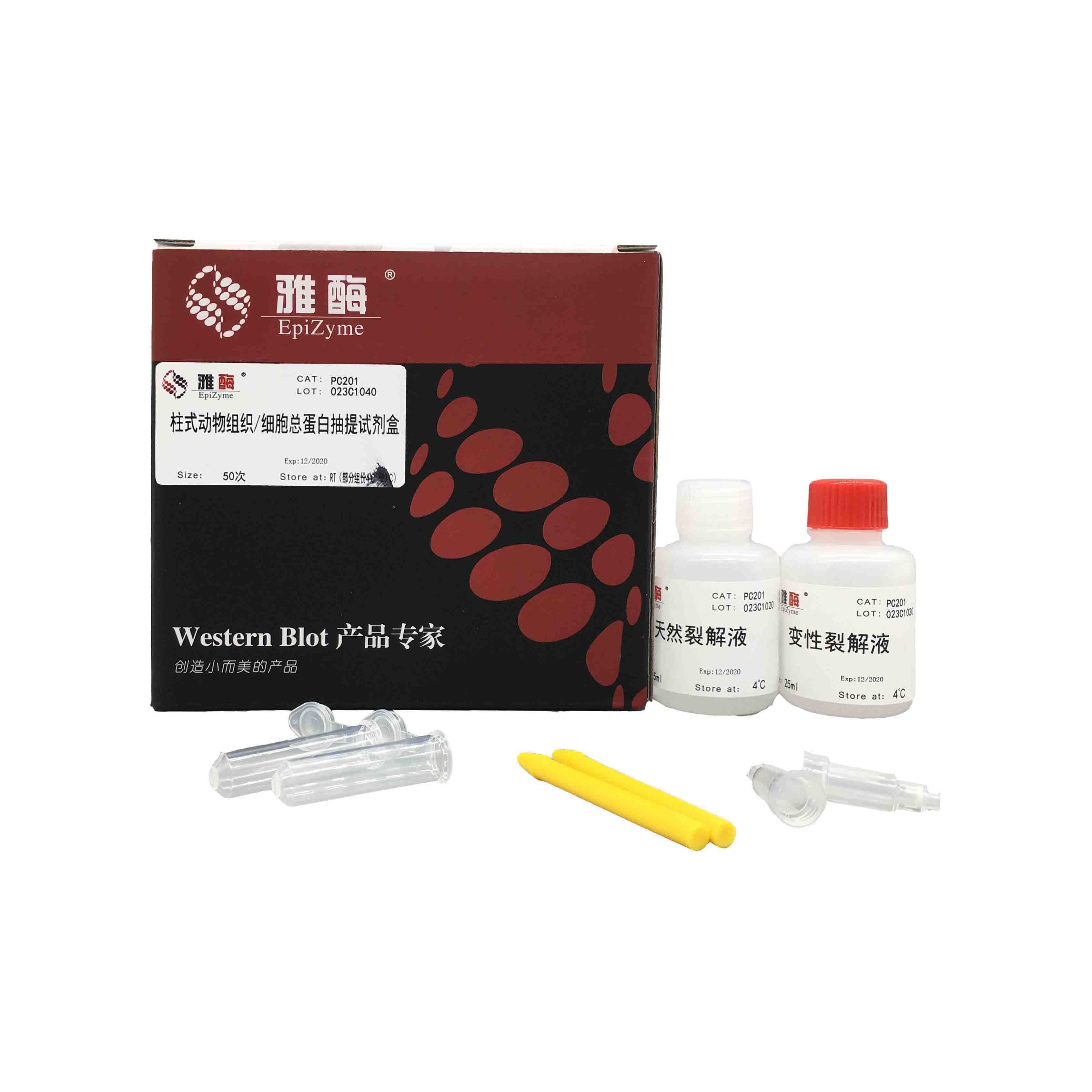 PC201 柱式动物组织/细胞总蛋白抽提试剂盒