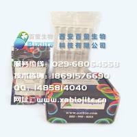 StrandBrite 绿色RNA定量试剂 200X DMSO溶解