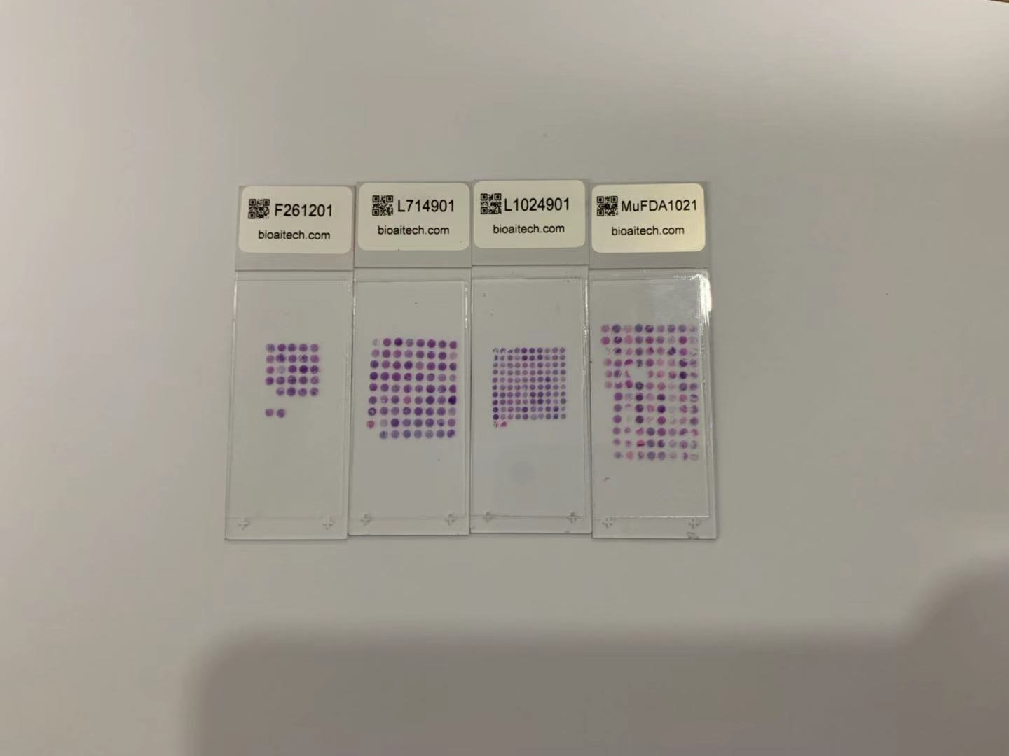 石蜡切片遇到的问题及补救办法