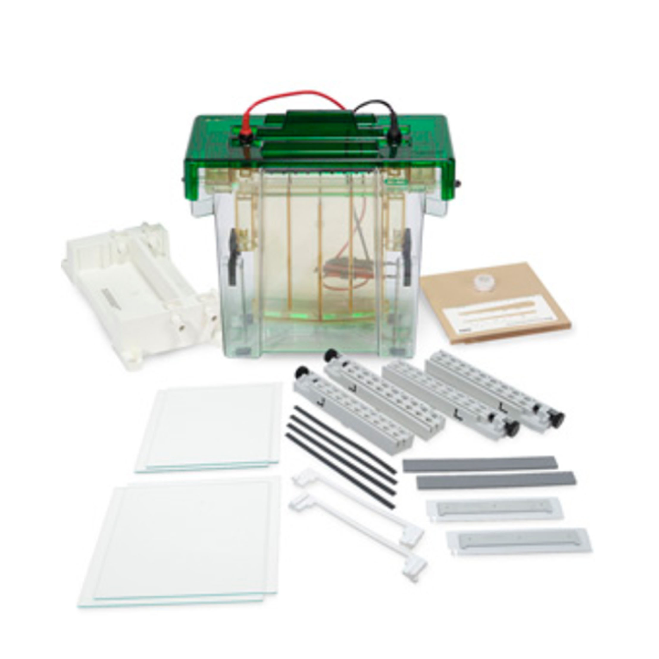 伯乐Bio-Rad1653188 PROTEAN II XL