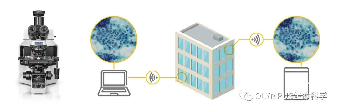 新品发布丨惊艳画质与智能兼得!奥林巴斯全新DP28 / DP23显微数码相机-公司新闻-仪景通光学科技(上海)有限公司