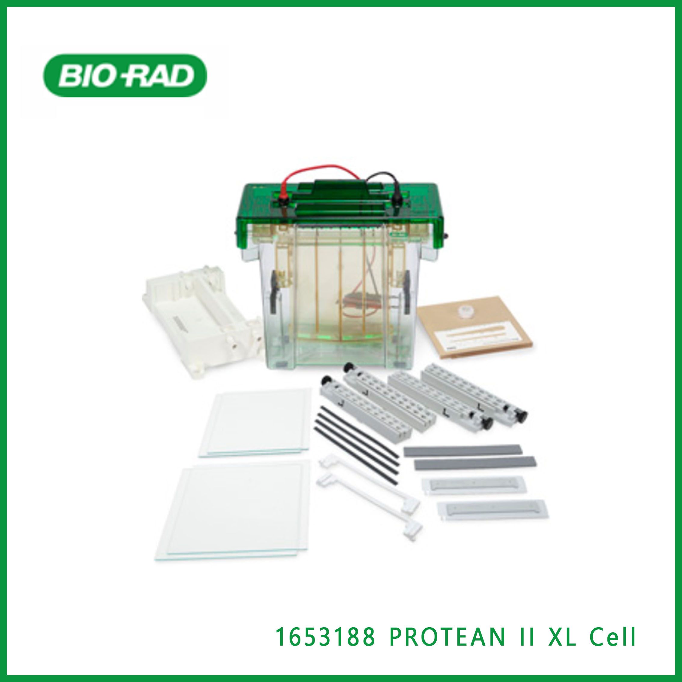 伯乐Bio-Rad1653188 PROTEAN II XL Cell，蛋白II XL细胞，现货