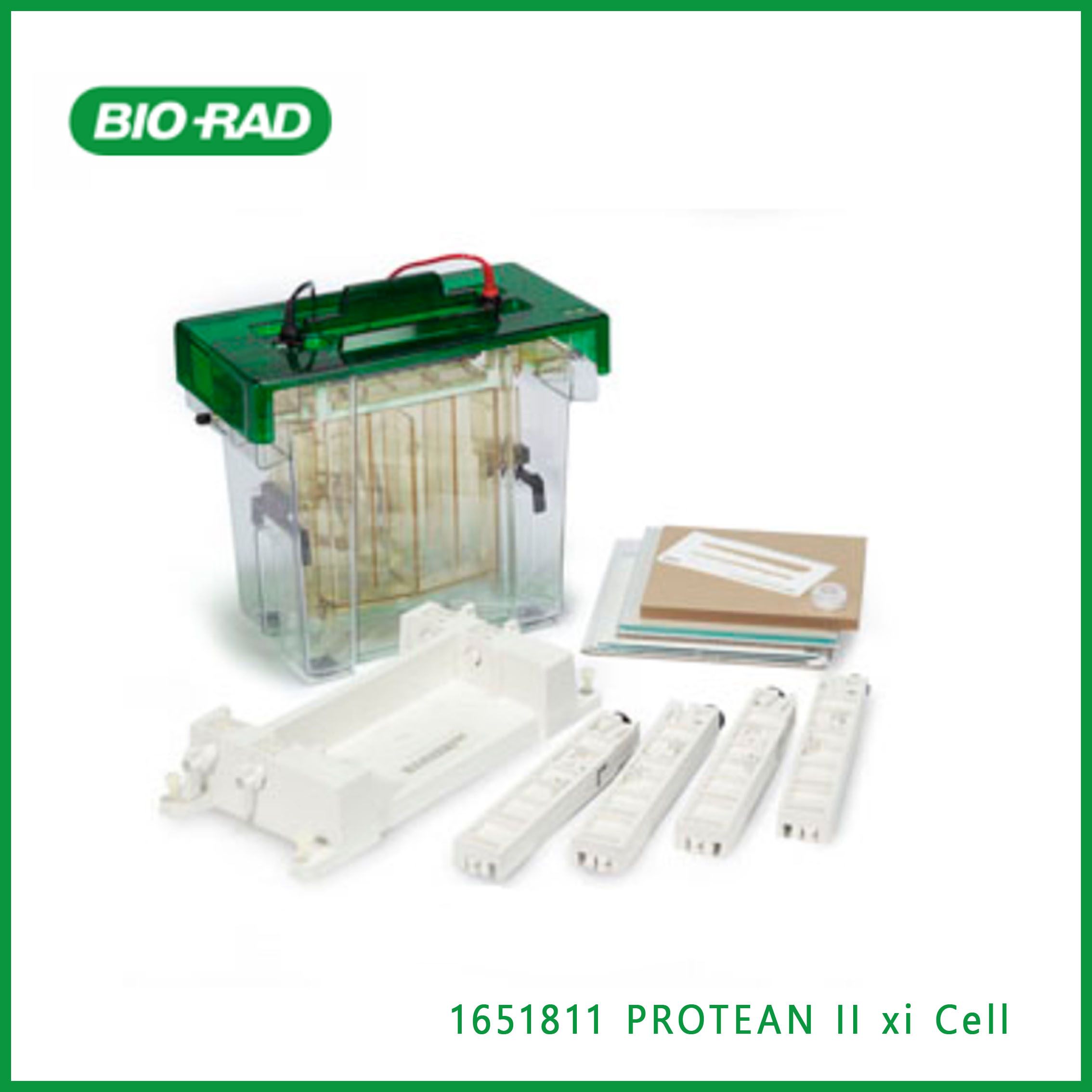 伯乐Bio-Rad1651811 PROTEAN II xi Cell，变型II席细胞，现货